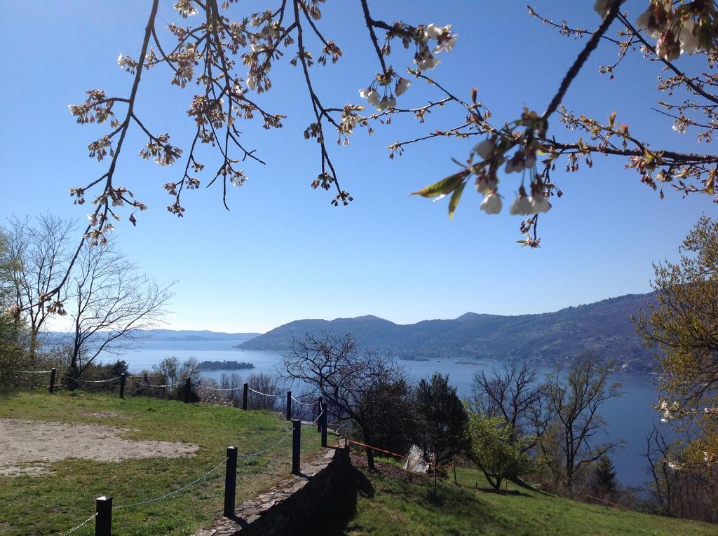 Il Ciliegio Selvatico Apartment Verbania Exterior photo